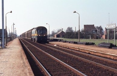 Melkouwen - TH  79-1261 (1).jpg